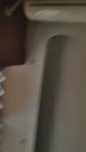 闭眼吃鸡