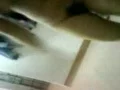 广东地区疯狂自拍